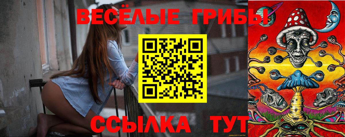 Псилоцибиновые грибы прущие грибы Елизово