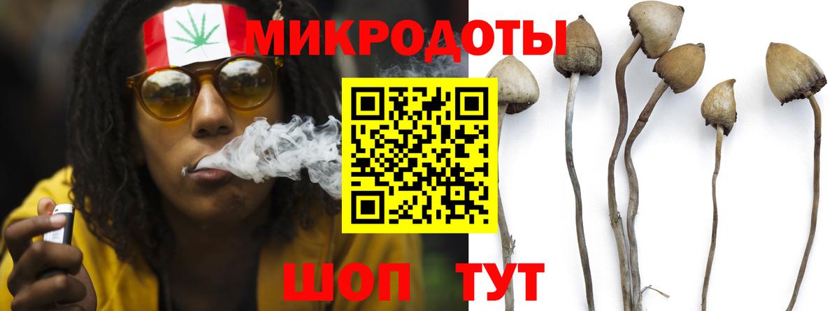 Псилоцибиновые грибы Cubensis  Вход с VPN  Елизово  Псилоцибиновые грибы Psilocybine cubensis 